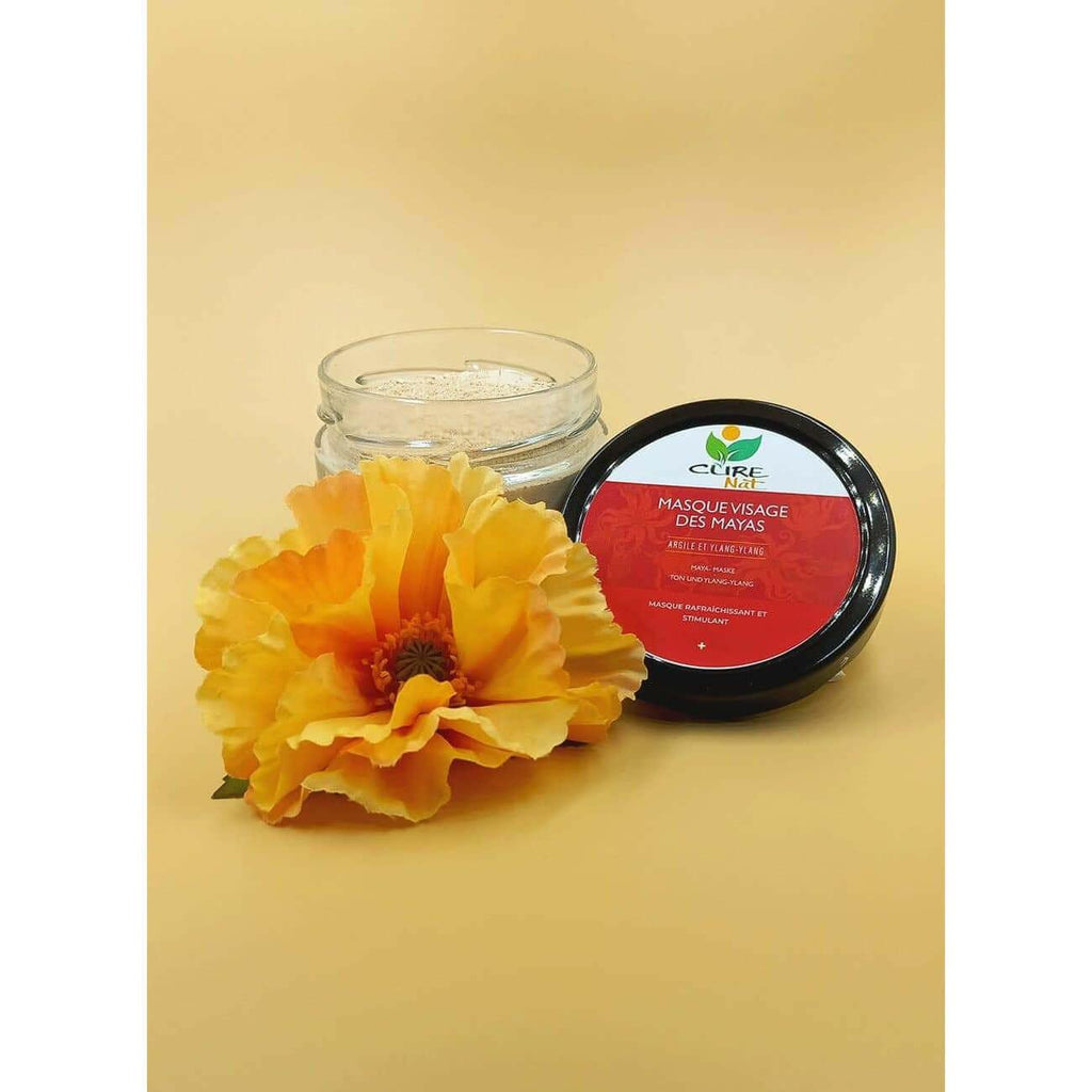 Mayan Clay & Ylang-Ylang Deep Pore Cleansing Face Mask