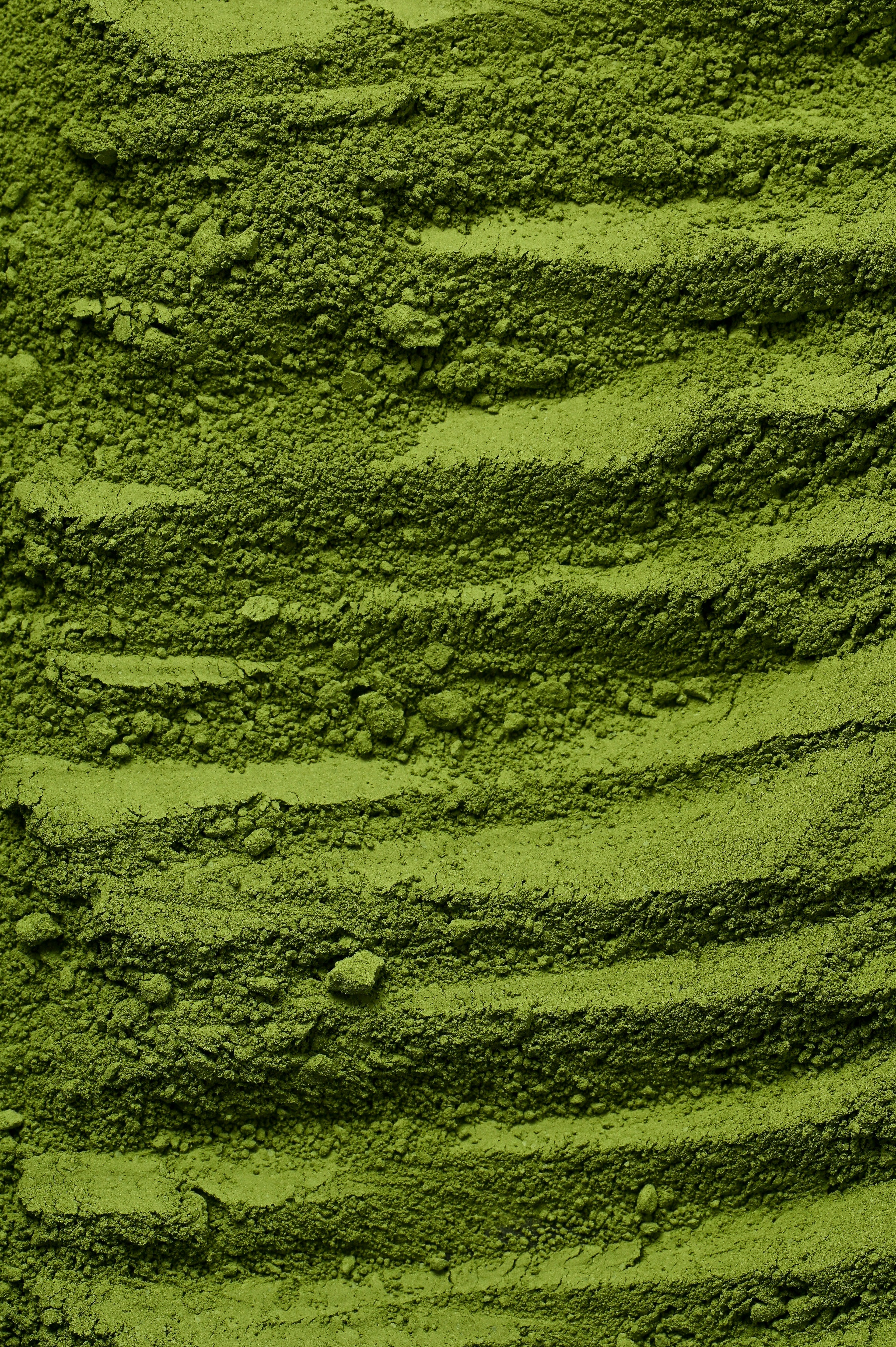 Chlorella Powder